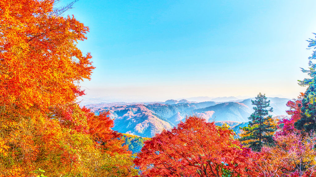 Mt. Takao